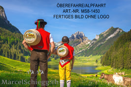 Alu-Dibond-FineArt-Öberefahre/Alpfahrt Art.-Nr. MS8-1450