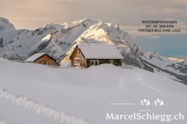 Alu-Dibond-FineArt-Winterimpressionen Art.-Nr. MS5-6705