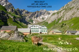 Leinwandbild-Meglisalp Art.-Nr. MZ8-4779