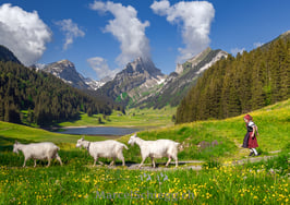 PK-Öberefahre/Alpfahrt/Sämtisersee-MZ7-3724