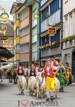 PK-Öberefahre/Alpfahrt/Appenzell-MZ8-6788