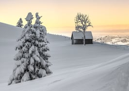 PK-Appenzellerland/Winterimpression-MZ7-5728