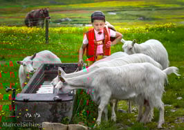 PK-Öberefahre/Alpfahrt/Gässbueb-MS5-0731