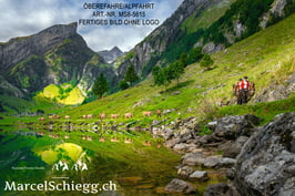 Leinwandbild-Öberefahre/Alpfahrt Art.-Nr. MS8-5615