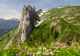 PK-Saxerlücke/Kreuzberge-MZ7-8503