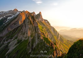 PK-Schäfler-MS8-1782