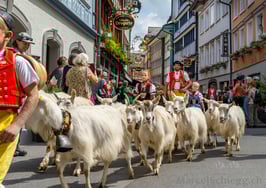 PK-Öberefahre/Alpfahrt-MZ7-1956