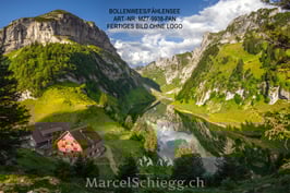 Leinwandbild-Bollenwees/Fählensee Art.-Nr. MZ7-9938