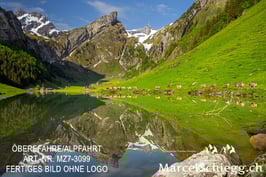 Alu-Dibond-FineArt-Öberefahre/Alpfahrt Art.-Nr. MZ7-7584