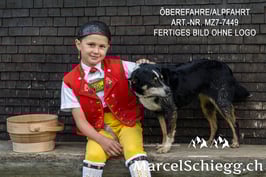 Leinwandbild-Öberefahre/Alpfahrt Art.-Nr. MZ7-7449