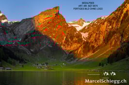 Alu-Dibond-FineArt-Seealpsee Art.-Nr. MZ7-9575