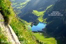 Leinwandbild-Seealpsee Art.-Nr. MZ7-3231