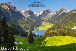 Alu-Dibond-FineArt-Sämtisersee Art.-Nr. MZ7-6517