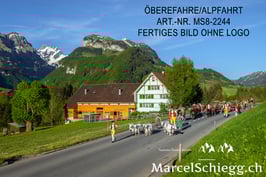 Alu-Dibond-FineArt-Öberefahre/Alpfahrt Art.-Nr. MS8-2244