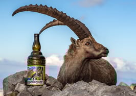 PK-Appenzeller Steinbock-MS5-1549