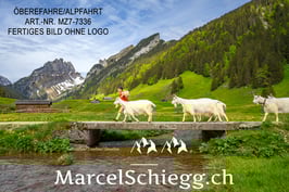 Leinwandbild-Öberefahre/Alpfahrt Art.-Nr. MZ7-7336