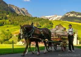 PK-Öberefahre/Alpfahrt/Lediwagen-MZ7-3424