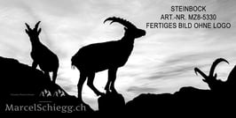 Alu-Dibond-FineArt-Steinbock Art.-Nr. MZ8-5330