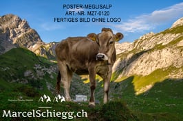 Poster/FineArt Print-Meglisalp Art.-Nr. MZ7-0120