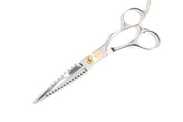 2 in 1 schneiden und Effilieren 6.0"