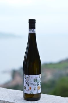 WerMost - Obstwermut 0,75l