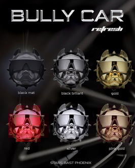 Désodorisant pour voiture BULLY