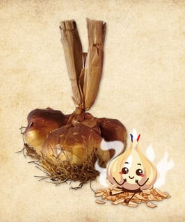 Trilette – 3er Bund Knoblauch