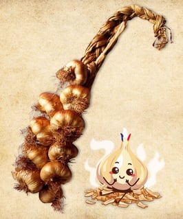 +++ AUSVERKAUFT +++ Knoblauchzopf – 10 Knollen