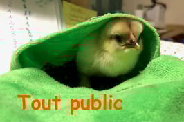 Séance d'accompagnement individuel en soins préventifs (réservation)