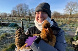 oeufs fécondés des P'tits Fruits (PF)