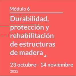 Curso Módulo 6: Durabilidad, Protección y Rehabilitación de estructuras de madera