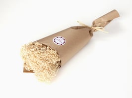 Broom Bloom v beli barvi