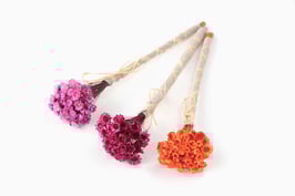 Trije šopki GLIXIA v roza, vijoličini in oranžni barvi