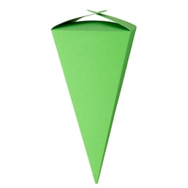 Darilna papirnata vrečka - kornet