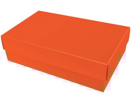 Darilna škatlica - velikost L v oranžni barvi