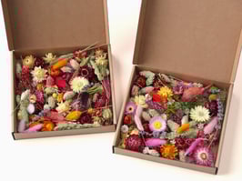 Škatlica različnega suhega cvetja brez stebel