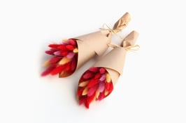 Set dveh šopkov v rdeče rumenih tonih