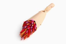 Enostranski šopek s suhim cvetjem - v oranžno - rdečih tonih