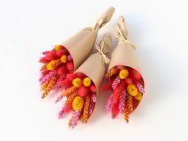 Set treh manjših šopkov s suhim cvetjem v rdečih barvah