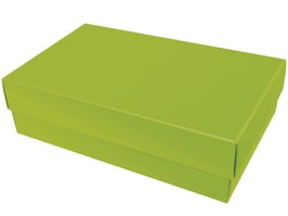 Darilna škatlica - velikost XL v svetlo zeleni barvi apple