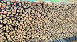 広葉樹  　小割小枝ミックス 　約19㎏　送料無料