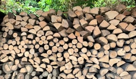 樫（カシ）小割小枝ミックス 約23㎏　送料別