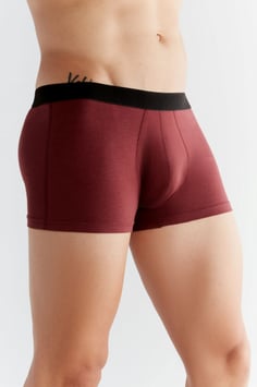 Albero Natur Trunk Shorts bordaux