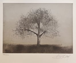 Balluf, Ernst - Der Baum