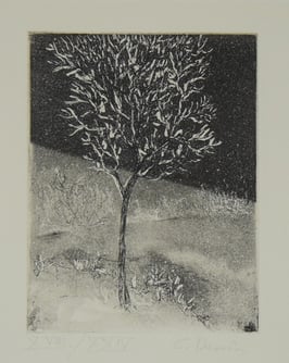 Donin, Christoph - Aus dem Adventkalender 1980