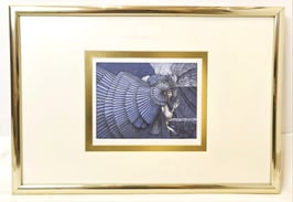 Hutter, Wolfgang - Blaues Fächermädchen