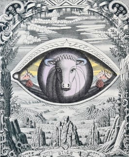 Bayer, Franz - Sternzeichen Stier