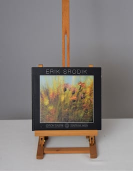Srodik, Erik Bücher - Erik Srodik