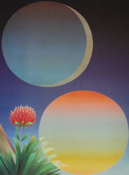 Haller, Roman - Morgendämmerung