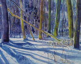 Anger, Heinz - Buchenwald im Winter